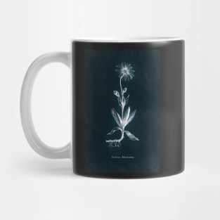 Cyanotype - Arnica Montana Mug